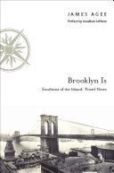 Brooklyn Is: Southeast of the Island: Travel Notes