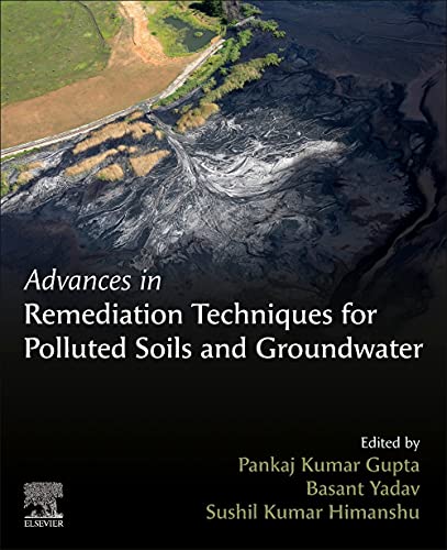 Advances in Remediation Techniques for Polluted Soils and Groundwater