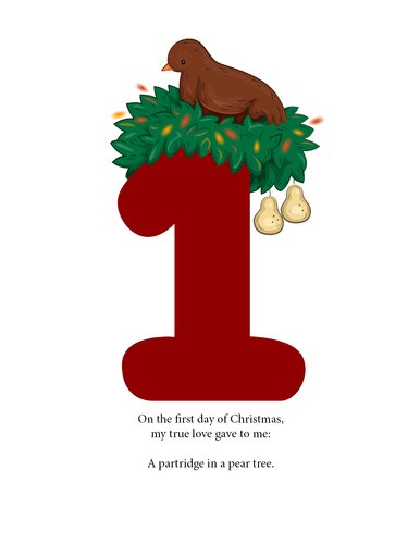 The Twelve Days of Christmas: A Christmas Counting Book