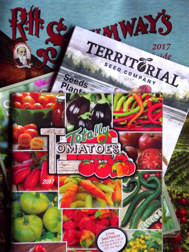 Gardener's Guide to Seed Catalogs