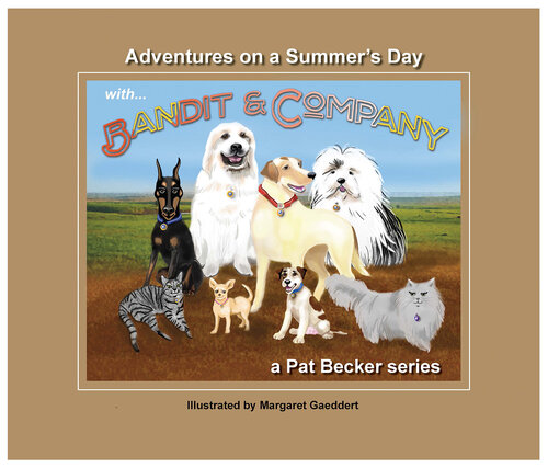 Adventures on a Summer's Day: With Bandit & Company