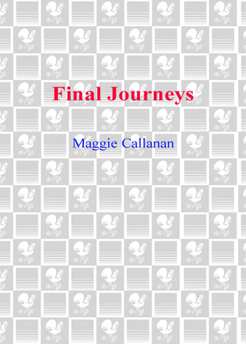 Final Journeys: A Practical Guide for Bringing Care and Comfort at the End of Life