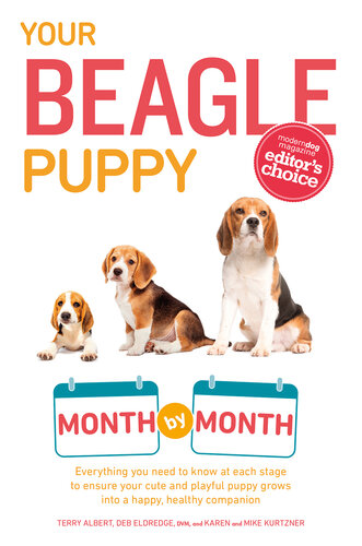 Your Beagle Puppy Month by Month