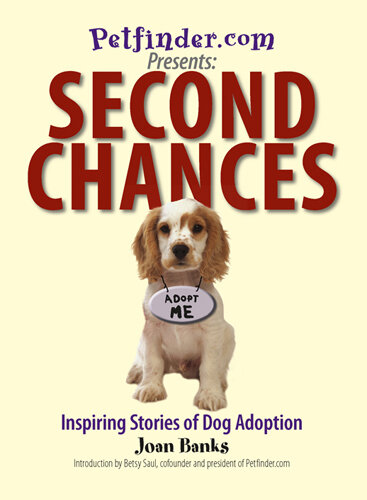 Second Chances: Inspiring Stories Of Dog Adoption