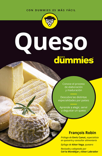 Queso para dummies