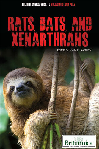 Rats, Bats, and Xenarthrans