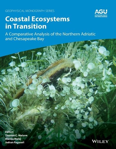 Coastal Ecosystems in Transition. A Comparative Analysis of the Northern Adriatic and Chesapeake Bay