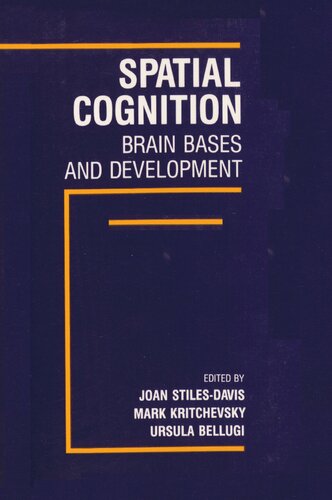 Spatial Cognition: Brain Bases and Development