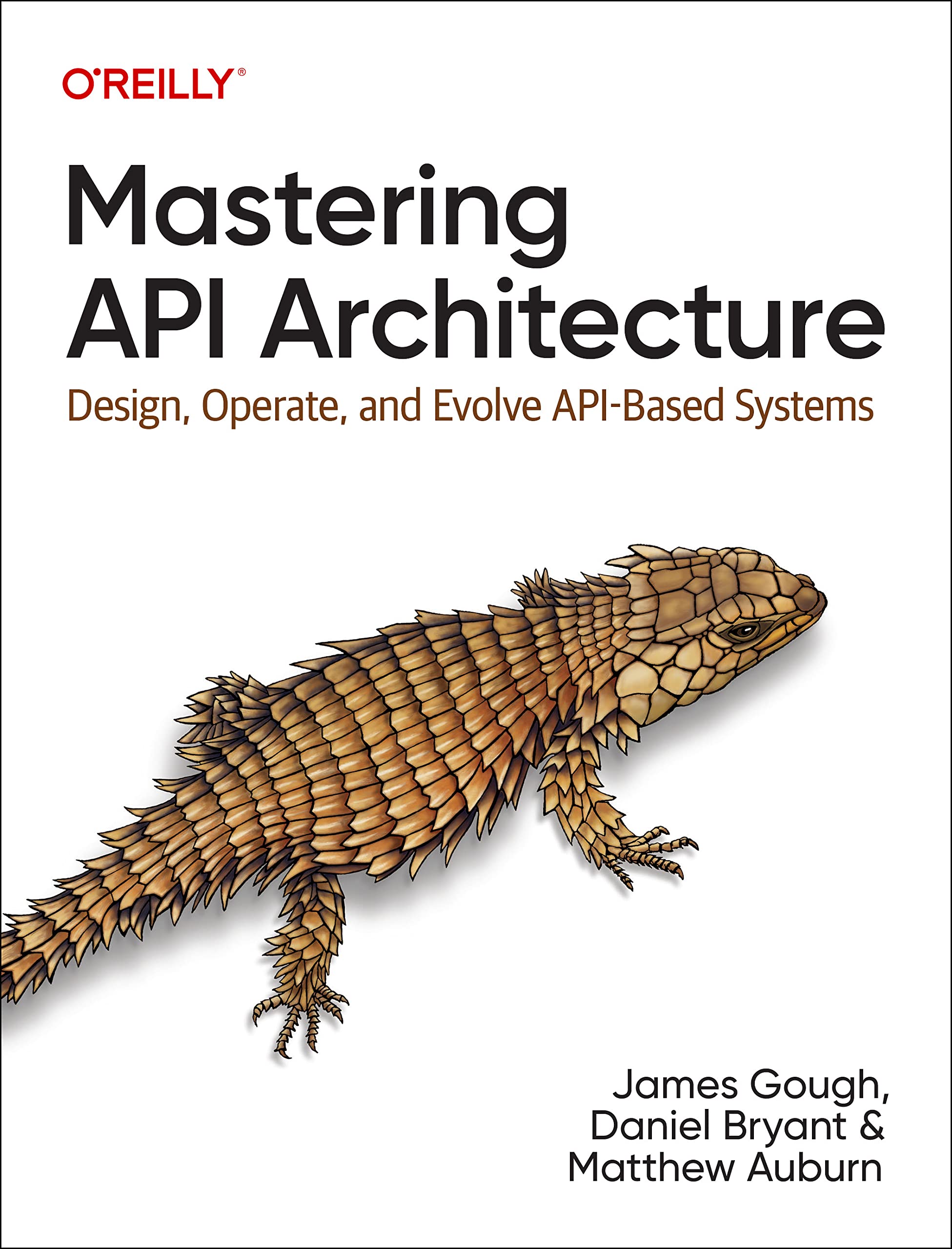 Mastering API Architecture: Design, Operate, and Evolve API-Based Systems