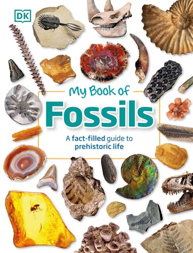 My Book of Fossils: A fact-filled guide to prehistoric life