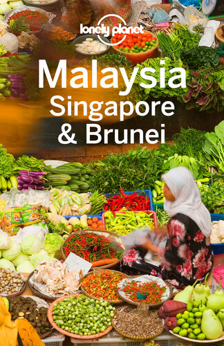 Lonely Planet Malaysia Singapore  Brunei