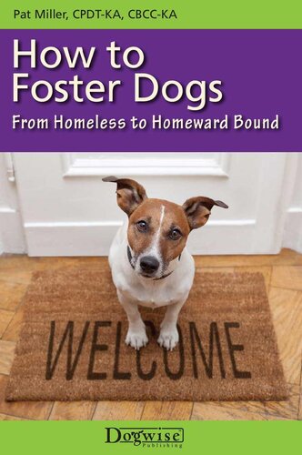 How to Foster Dogs: From Homeless to Homeward Bound