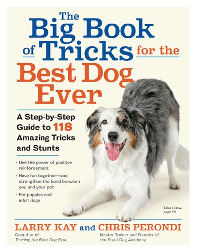 Tricks and Stunts for the Best Dog Ever