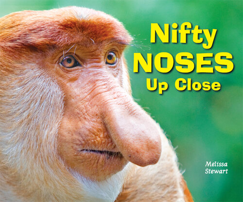 Nifty Noses Up Close