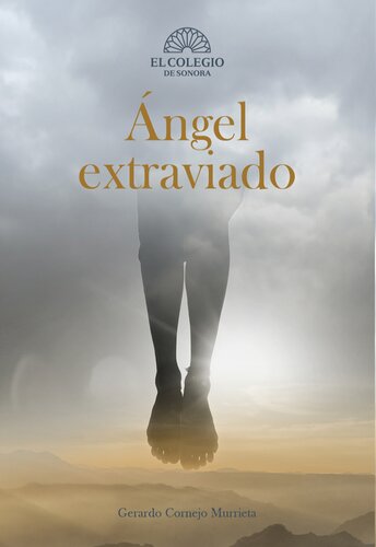 Ángel extraviado