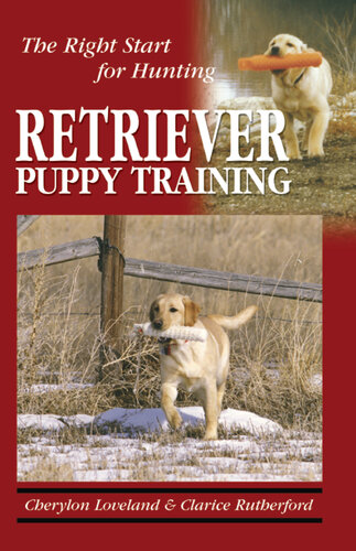 Retriever Puppy Training: The Right Start for Hunting