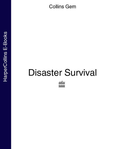 Disaster Survival