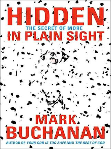 Hidden in Plain Sight: The Secret of More