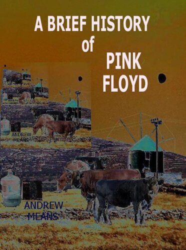 A Brief History of Pink Floyd