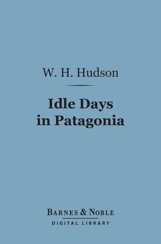 Idle Days in Patagonia