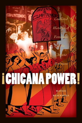 ¡Chicana Power! - Contested Histories of Feminism in the Chicano Movement