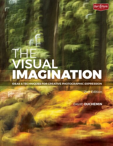 The Visual Imagination Ideas and Techniques for Creative Photographic Expression