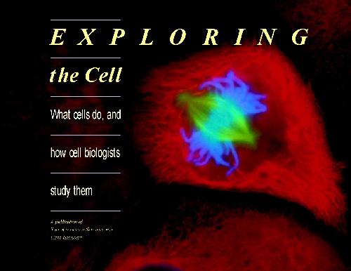 Exploring the Cell