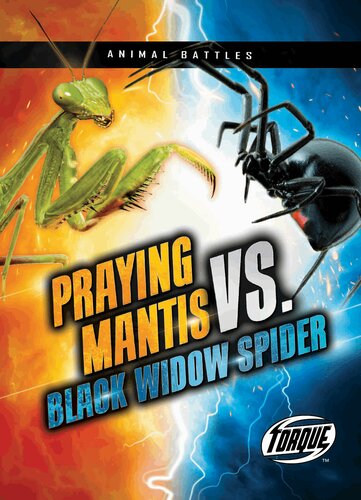 Praying Mantis vs. Black Widow Spider