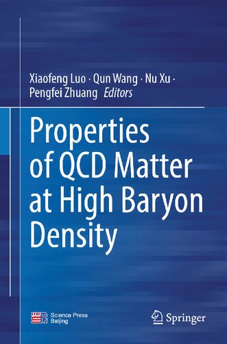 Properties of QCD Matter at High Baryon Density