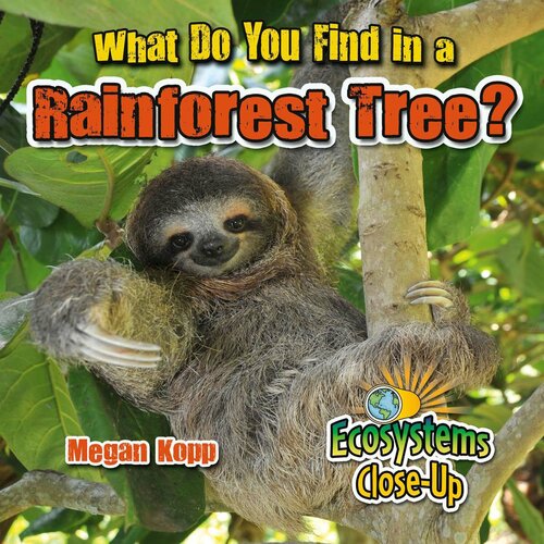 What Do You Find in a Rainforest Tree?