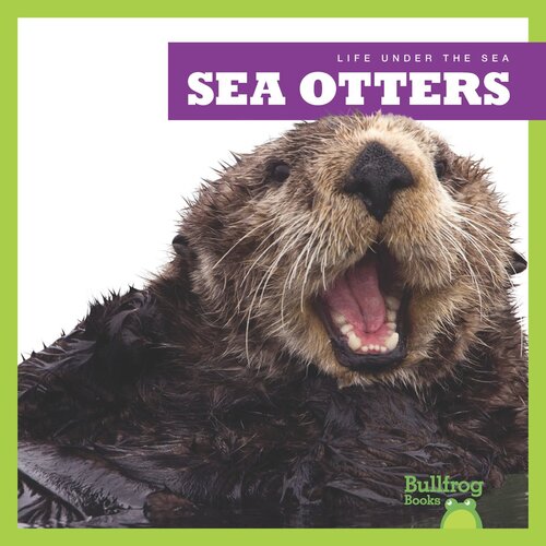 Sea Otters