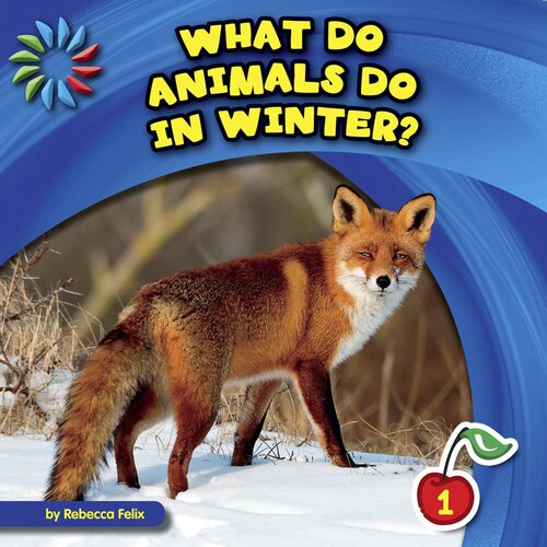 What Do Animals Do in Winter?