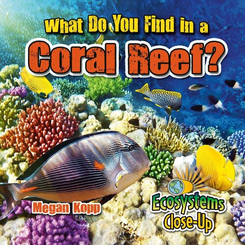 What Do You Find in a Coral Reef?