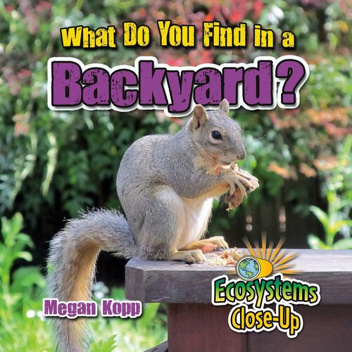 What Do You Find in a Backyard?