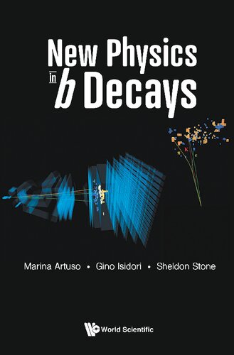 New Physics In B Decays