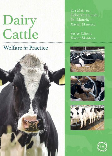 Dairy Cattle Welfare in Practice