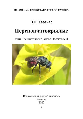 Перепончатокрылые: осы, пчѐлы, муравьи,  пилильщики, наездники и др. (тип Членистоногие, класс  Насекомые).