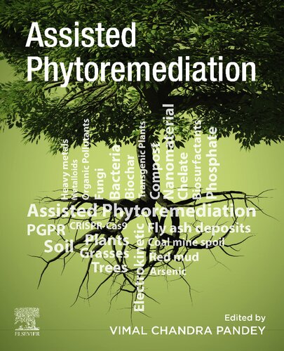 Assisted Phytoremediation: Potential Tools to Enhance Plant Performance