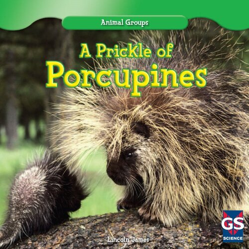 A Prickle of Porcupines