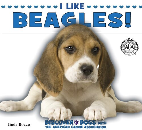 I Like Beagles!