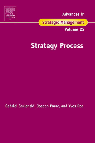 Strategy Process (Advances in Strategic Management vol. 22)