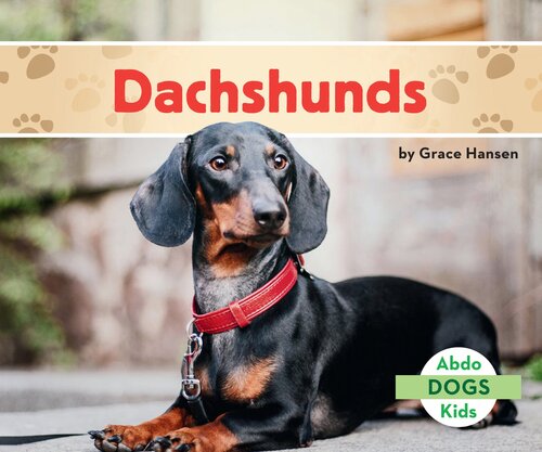 Dachshunds