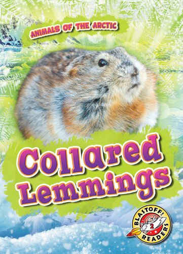 Collared Lemmings