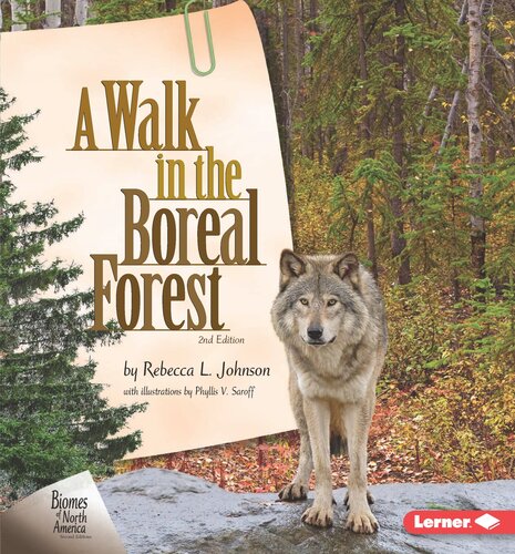 A Walk in the Boreal Forest