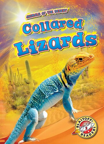 Collared Lizards