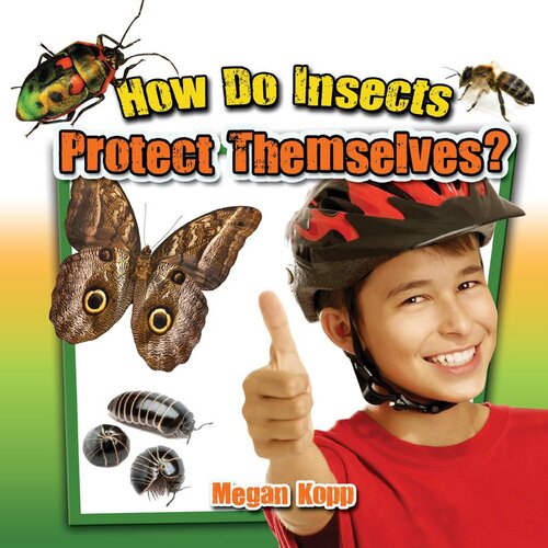 How Do Insects Protect Themselves?