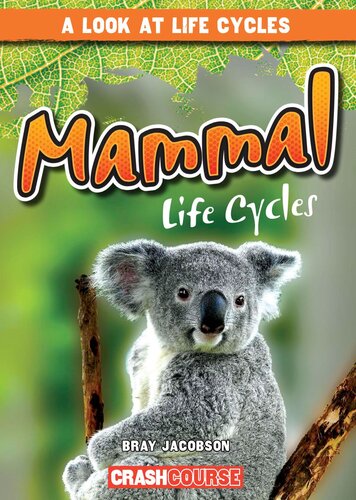 Mammal Life Cycles