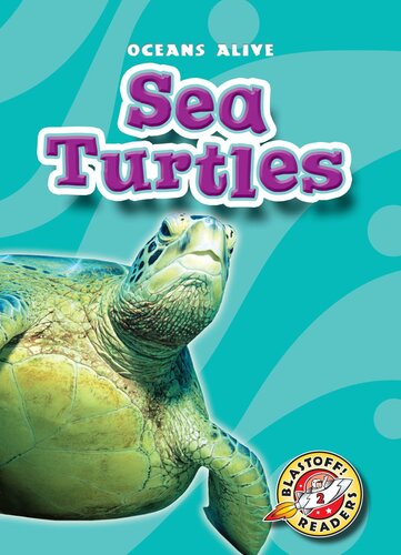 Sea Turtles