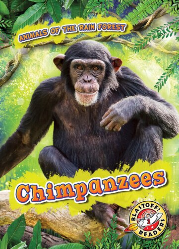 Chimpanzees