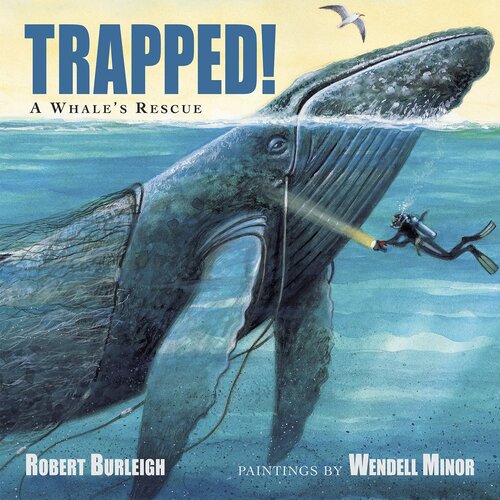 Trapped!: A Whale's Rescue